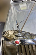 Radiator mascot on a Triumph Roadster