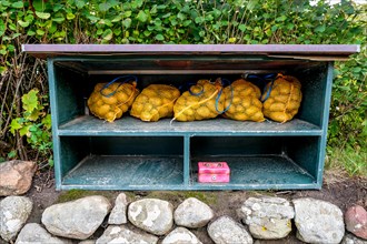 Potatoes under a self-service wooden shelter with cash register on the island of Sylt