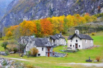 Alpine village Faedo