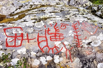 Partial section of the Bronze Age rock carvings