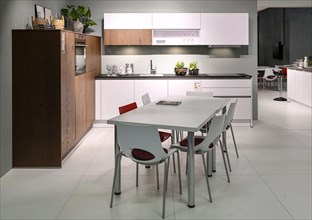 Modern kitchen interior design