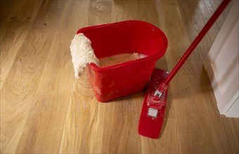 Subject: Household. Red cleaning bucket and mop