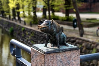 Pig sculpture in bronze at the Schweinsbruecke