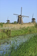Thatched windmills at Kinderdijk
