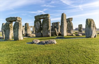 Standing stones of Neolithic henge