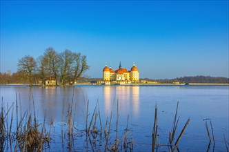 Winterly Moritzburg Castle and Duck Island with group of trees in the half frozen castle pond
