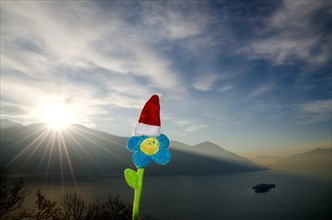 Smile Flower with Christmas Hat and Sunbeam over Alpine Lake Maggiore with Brissago Islands and Mountain in Ticino