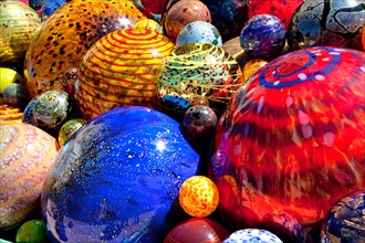 Dale Chihuly's Glass Balls