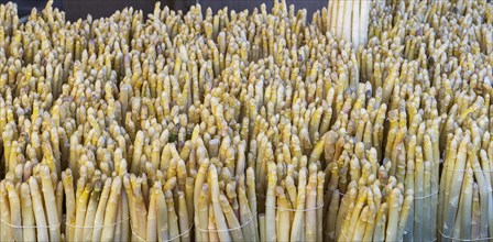 Market stall with fresh asparagus