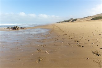 Footprints into distance Mimid beach