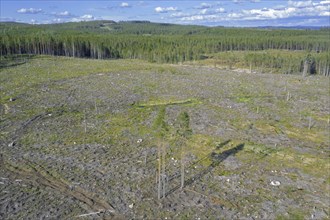 Aerial view over Swedish clearcut area