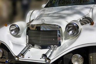 Radiator grille with Cougar logo of the Roadster Phantom by Johnson Motorcar Corp.