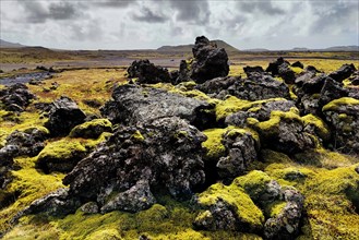 Lava with moss at Raudholl crater