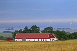 Wind turbines and red farm in wheat field