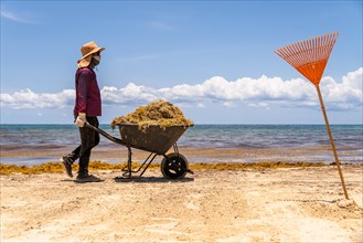 Worker carrying a wheelbarrow with