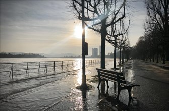 Flood and frost on the Rhine near Bonn