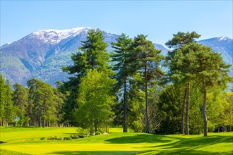 Golf Course with Trees and Snow-capped Mountain in Ascona