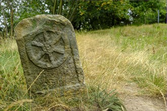 Historical boundary stone with the Mainz wheel on the Schlossleite