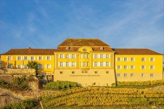 Meersburg State Winery on Lake Constance