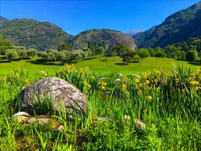 Golf Course Gerre Losone with Flowers and Stone and River and Mountain in Losone