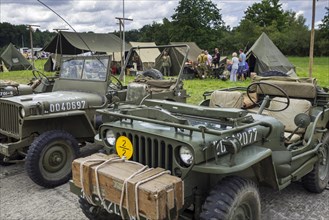 World War Two US Army Willys MB jeeps