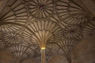 Rib-vault ceiling of entrance to the Great Hall of Christ Church College of the Oxford University