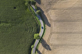 Aerial view of wheat and maize fields in Wiesa in Saxony