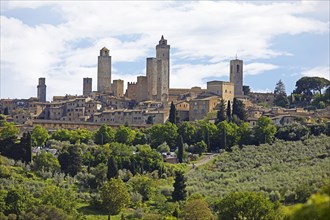 City View San Gimignano