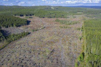 Aerial view over Swedish clearcut area