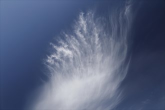 Feather clouds