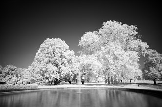 Infrared image