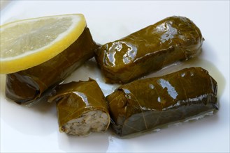 Vine leaves with rice filling on plate