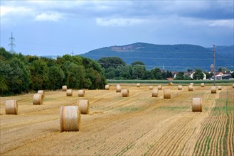 Panorama view of straw field with round dry hay bales in front of mountain range