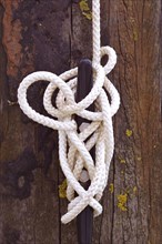 White rope tied in a knot to secure beach pavilion on wood background