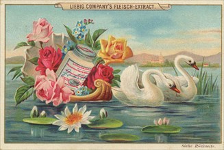 Shell with roses and swans
