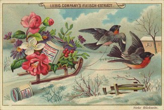 Sleigh with autumn flowers and finches