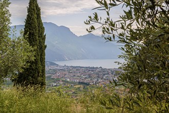 The town of Riva del Garde on Lake Garda in the municipality of Riva del Garda Province of Trentino Northern Italy Europe