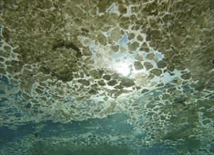 View from underwater to thick layer of fat covering surface of Ocean on bright sunny day