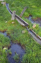 Wooden water pipe in green meadow
