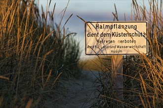 Sign in the dunes