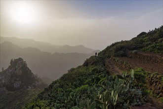 Hiking trail between opuntias on the hillside