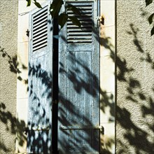 Shadow of foliage on a blue shutter