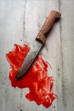 Bloody knife on a wooden table