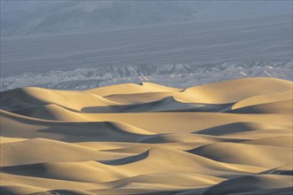 Mesquite Flat Sand Dunes at sunrise