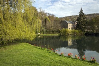 Small lake in Annevoie Castle Garden