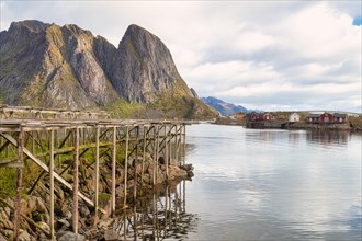 Drying racks for fish and traditional red rorbuer huts in the fishing village of Reine