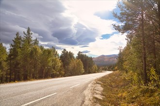 Road in Rondane National Park