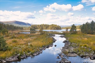 River Landscape in Rondane National Park