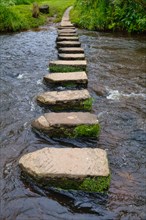 Stepping stones across a small river
