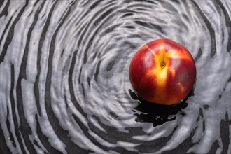 Nectarine in the water with waves around black background and copy space